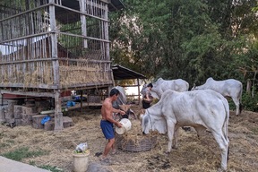 Île de Koh Trong