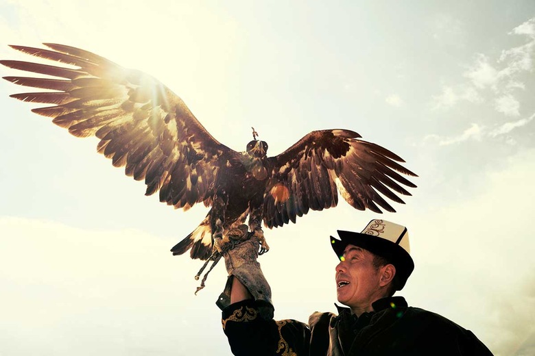 Chasse traditionnelle avec un aigle royal