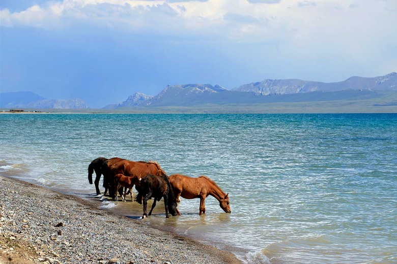 Lac Son Koul
