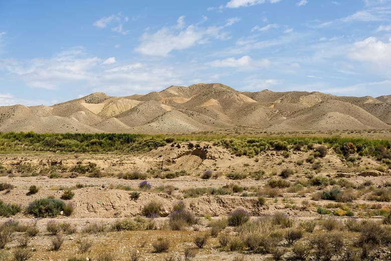 Steppe