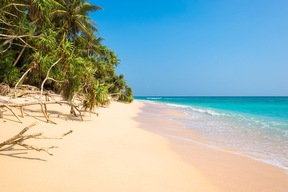 Côte Sud