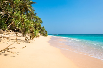 Circuit privé - Zénitude au Sri Lanka - L'île émeraude - TUI