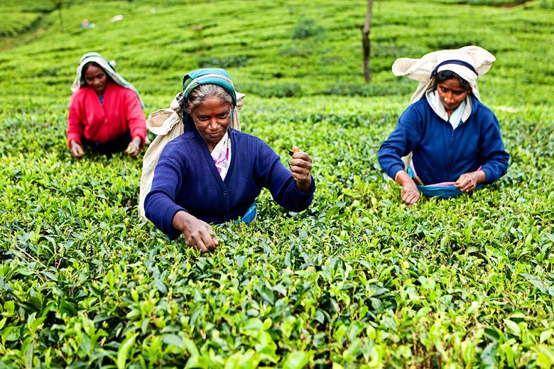 Kandy