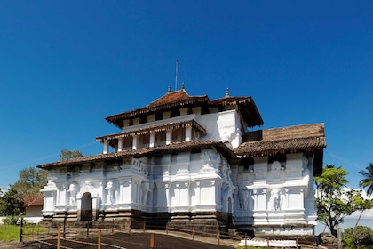 Circuit Au pays de l'or vert - TUI