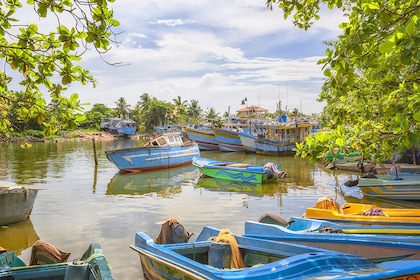 Circuit Trésors du Sri Lanka - TUI