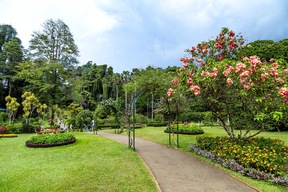 Jardin botanique de Peradeniya