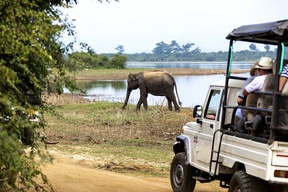 Parc National d'Udawalawe