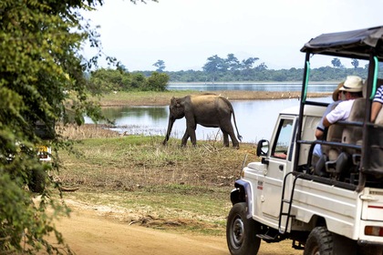 Circuit Majestueuse île de Ceylan et Jaffna - TUI