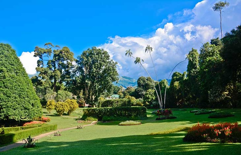 Jardins botaniques de Peradeniya