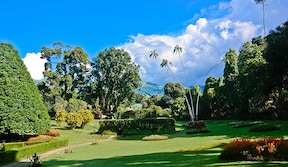Jardins botaniques de Peradeniya