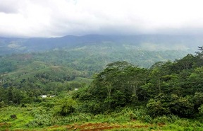 Réserve forestière de Sinharaja