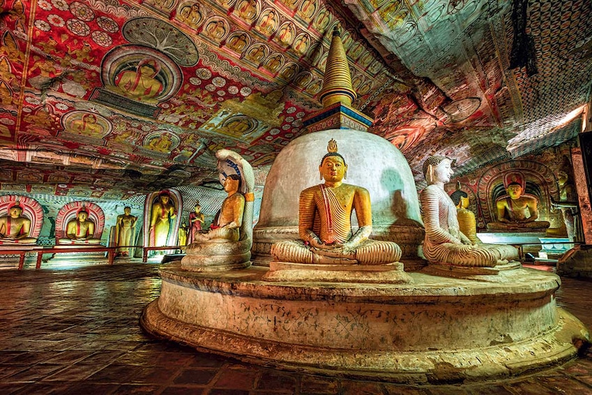 Circuit Découverte du Sri Lanka - TUI