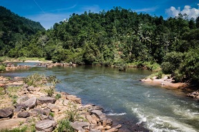 Kithulgala