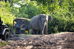 Parc national de Yala