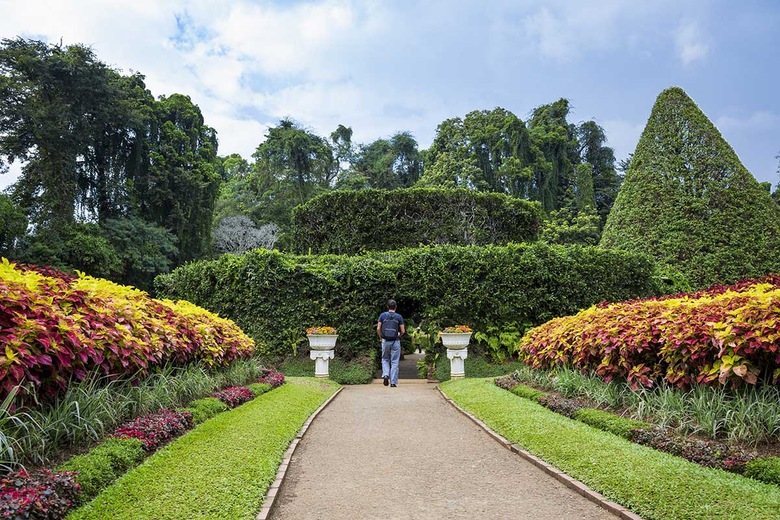 Kandy