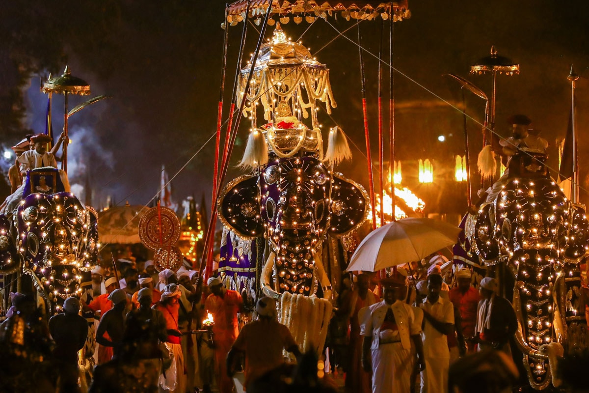 Circuit évènement - Festival Perahera à Kandy