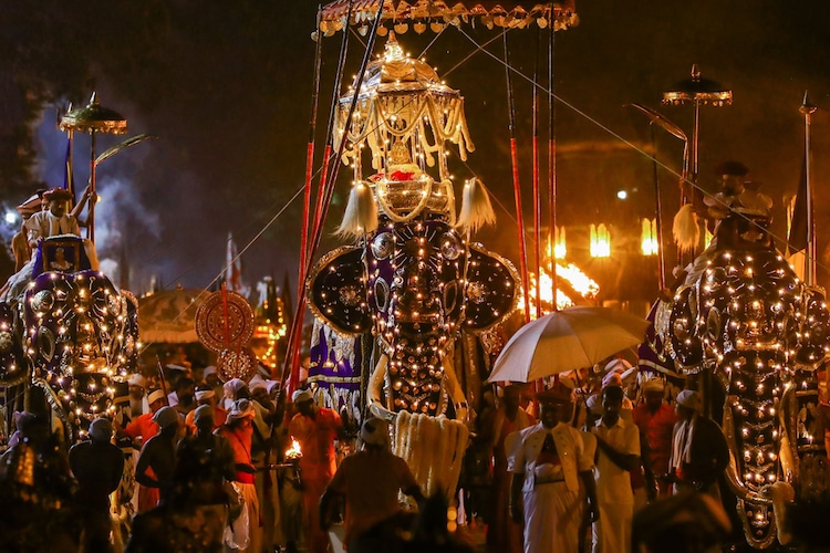 Circuit évènement - Festival Perahera à Kandy (Festival de la Dent de Boudha) - TUI