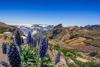 Road Trip Madère classique - TUI