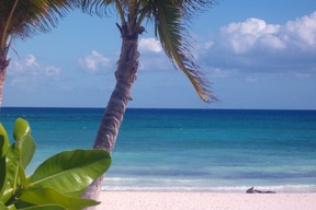 Playa Del Carmen