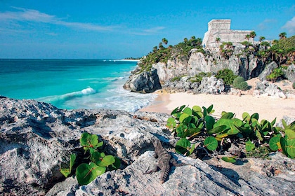 Combiné découverte et détente Merveilles du Mexique - Club Marmara Playa Maroma - TUI