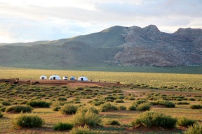 Camp de yourtes