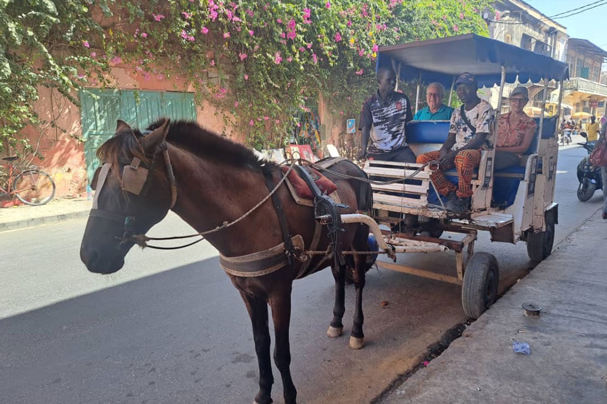 Gambie - Guinée-Bissao - Mauritanie - Sénégal - Circuit Grand voyage en Afrique de l'Ouest