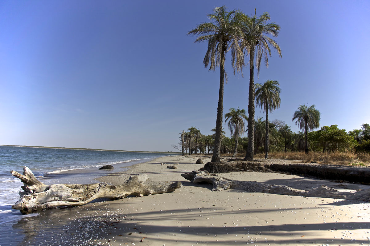 Gambie - Guinée-Bissao - Mauritanie - Sénégal - Circuit Grand voyage en Afrique de l'Ouest