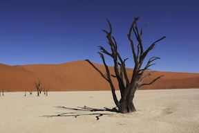 Deadvlei