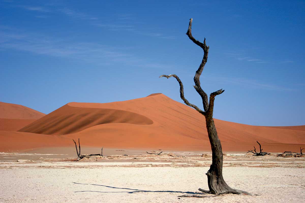 Autotour Dunes et désert namibiens