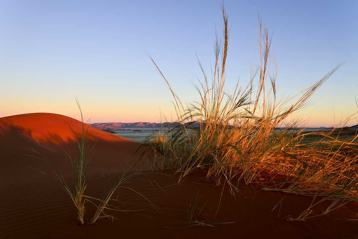 Namibie - Road Trip Dunes et désert namibiens