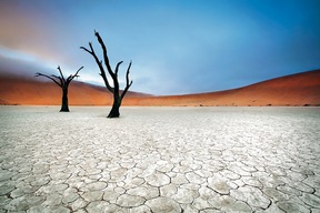 Dead Vlei