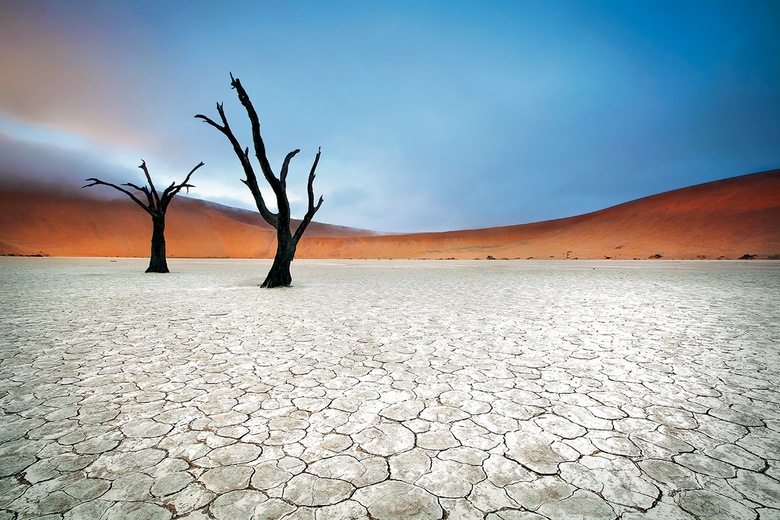 Dead Vlei