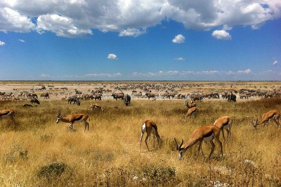Circuit Trésors d'Afrique australe- TUI