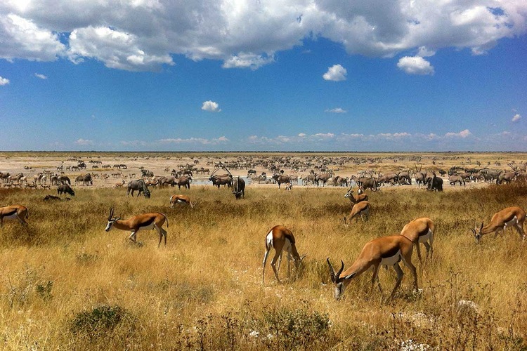 Circuit Trésors d'Afrique australe - TUI