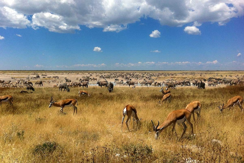 Circuit Trésors d'Afrique australe - TUI