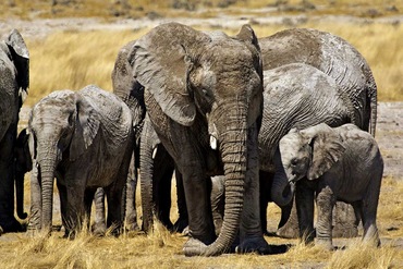 Circuit Trésors d'Afrique australe - TUI