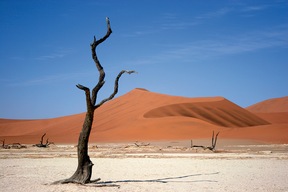 Désert de Namib