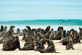 Walvis Bay