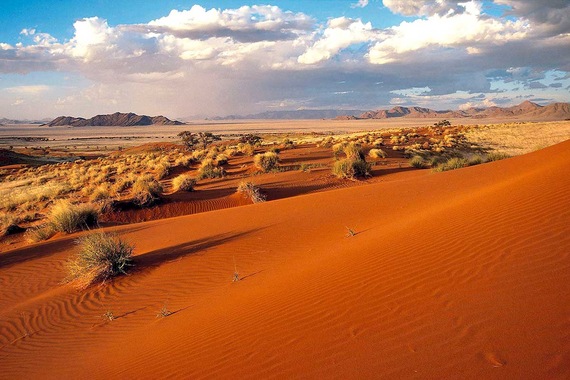 Circuit Immersif - Pays himba, dunes et réserves de Namibie- TUI