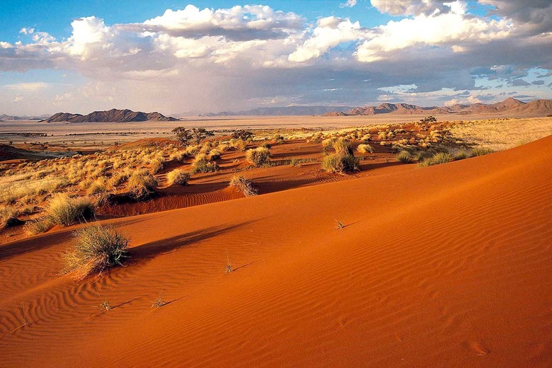 Désert du Namib
