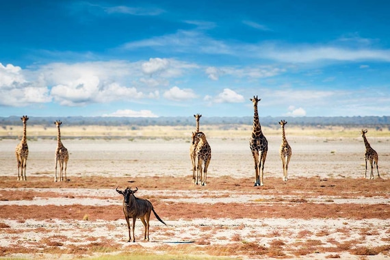 Circuit L'Afrique grandeur nature : déserts, canyons et grands espaces- TUI