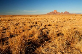 Damaraland