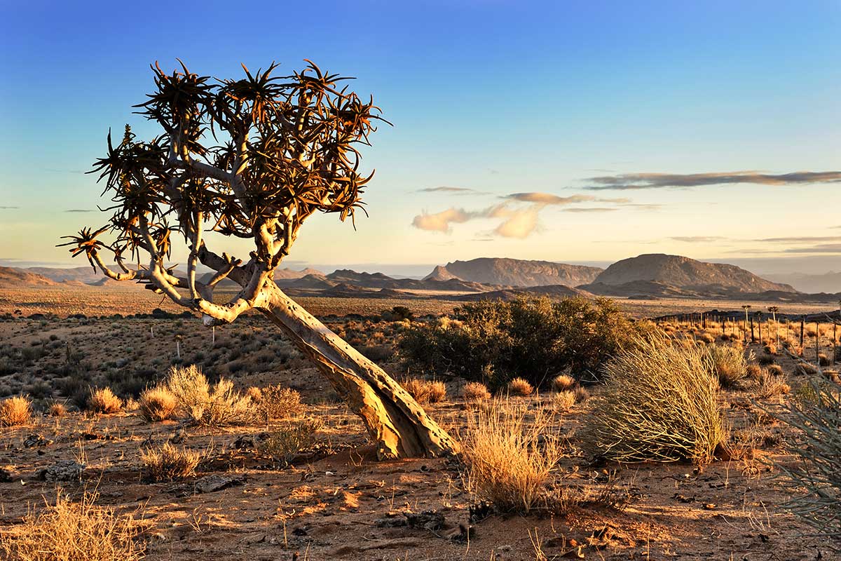 Namibie - Circuit L'Afrique Grandeur Nature: Déserts, Canyons et Grands Espaces