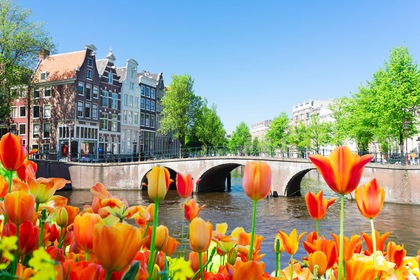 Evènement : La floraison des tulipes à Amsterdam - TUI