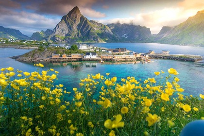 Circuit Îles Lofoten, fjords et baleines - TUI