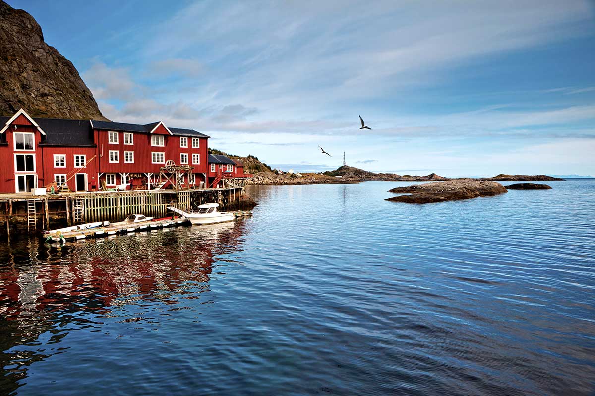 Norvège - Circuit Îles Lofoten, fjords et baleines