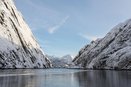 Circuit Aurores boréales, troll et fjord - TUI