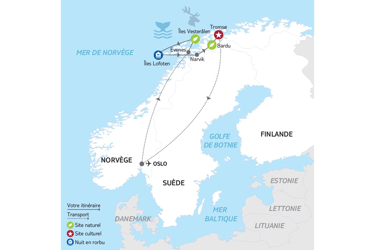Norvège - Circuit Aurores Boréales et Baleines