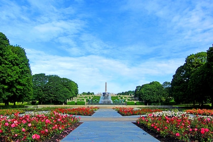 Circuit Grand tour des fjords - TUI