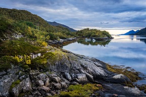 Croisière sur le Vestfjord